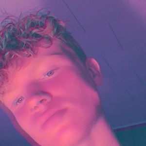 Meet your Posher, Wylie